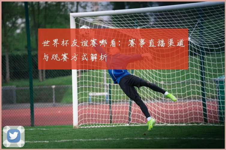 世界杯友谊赛哪看：赛事直播渠道与观赛方式解析