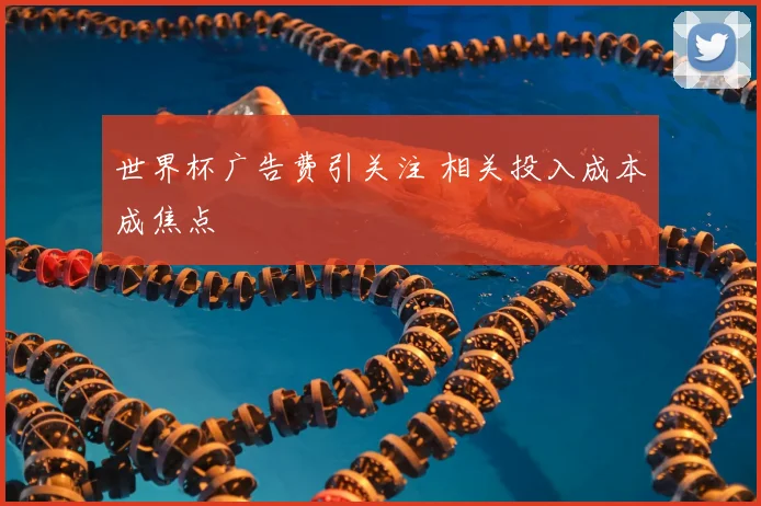 世界杯广告费引关注 相关投入成本成焦点