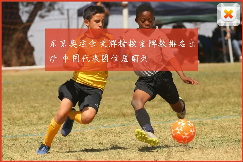 东京奥运会奖牌榜按金牌数排名出炉 中国代表团位居前列