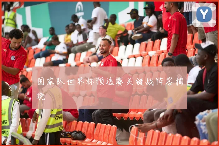 国家队世界杯预选赛关键战阵容揭晓